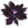 blacklotus85